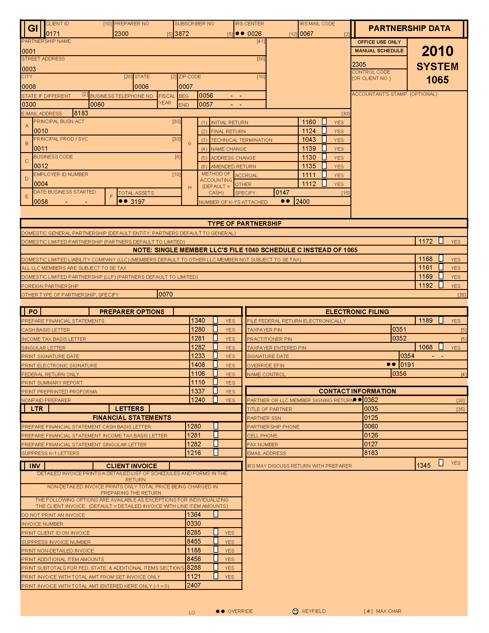 sample 1065 tax return