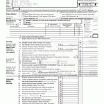 Sample 2009 Income Tax Return