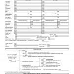 Services for CPA &  tax preparers 1040 inputsheets light 1